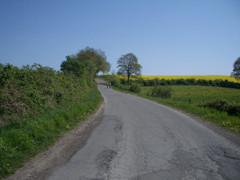 Bungsberg-CTF 559